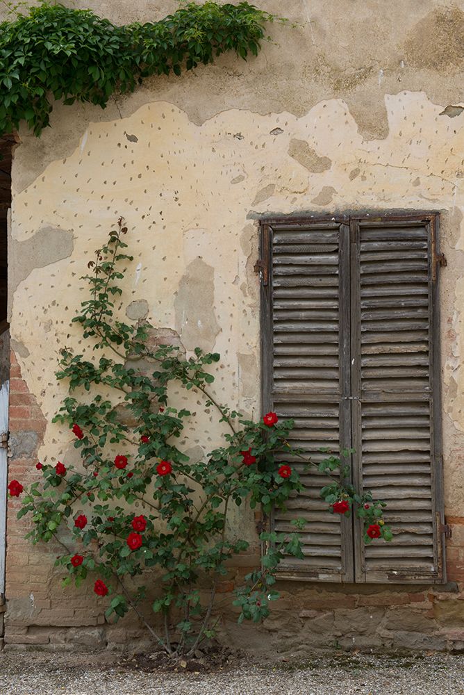 Wall Art Painting id:440346, Name: Side by Side, Artist: Crowell, Nancy