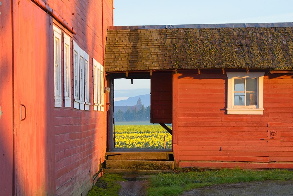 Wall Art Painting id:213517, Name: Barn Door View, Artist: Crowell, Nancy