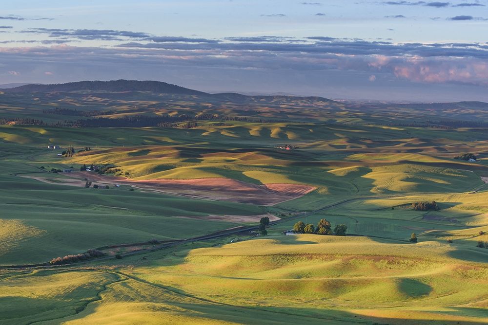 Wall Art Painting id:213524, Name: Green Valley, Artist: Crowell, Nancy