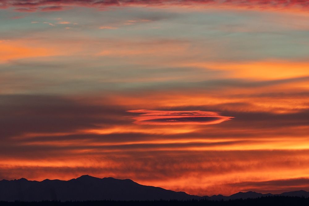 Wall Art Painting id:429836, Name: Sunset, Artist: Crowell, Nancy