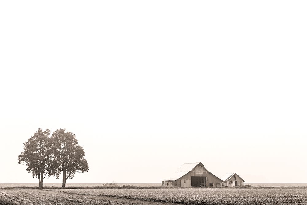 Wall Art Painting id:440375, Name: Take Me Home, Artist: Crowell, Nancy