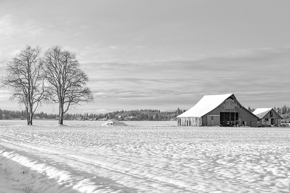 Wall Art Painting id:548353, Name: Solitude, Artist: Crowell, Nancy