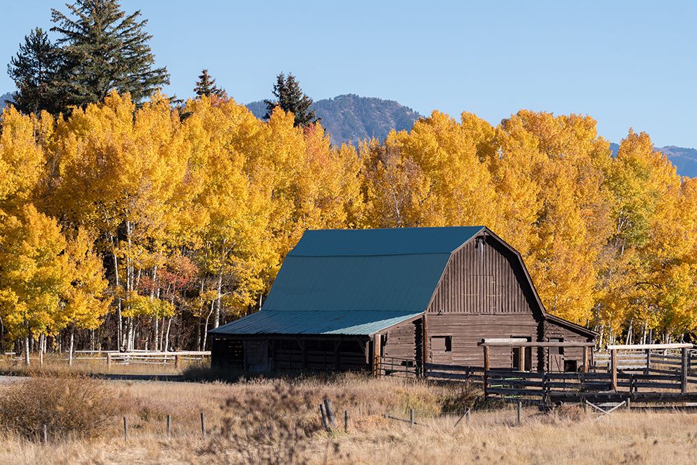 Wall Art Painting id:535705, Name: Rustic Ways, Artist: Crowell, Nancy