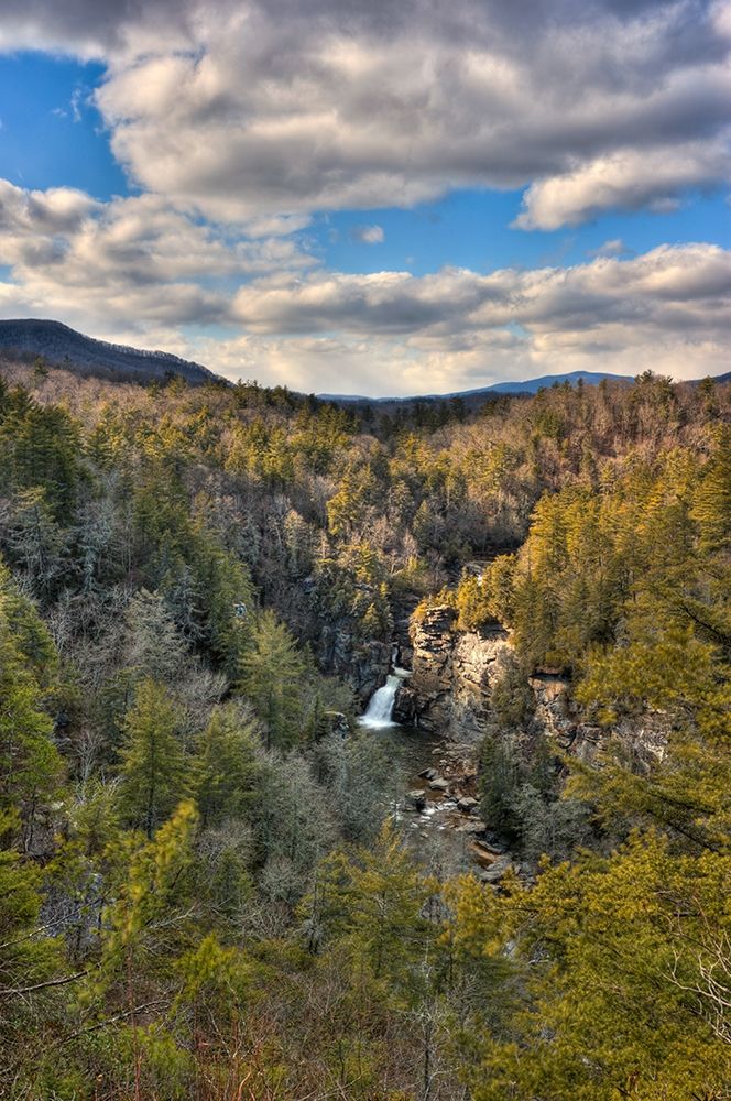 Wall Art Painting id:213603, Name: Hidden Springs, Artist: Morgan, Keith