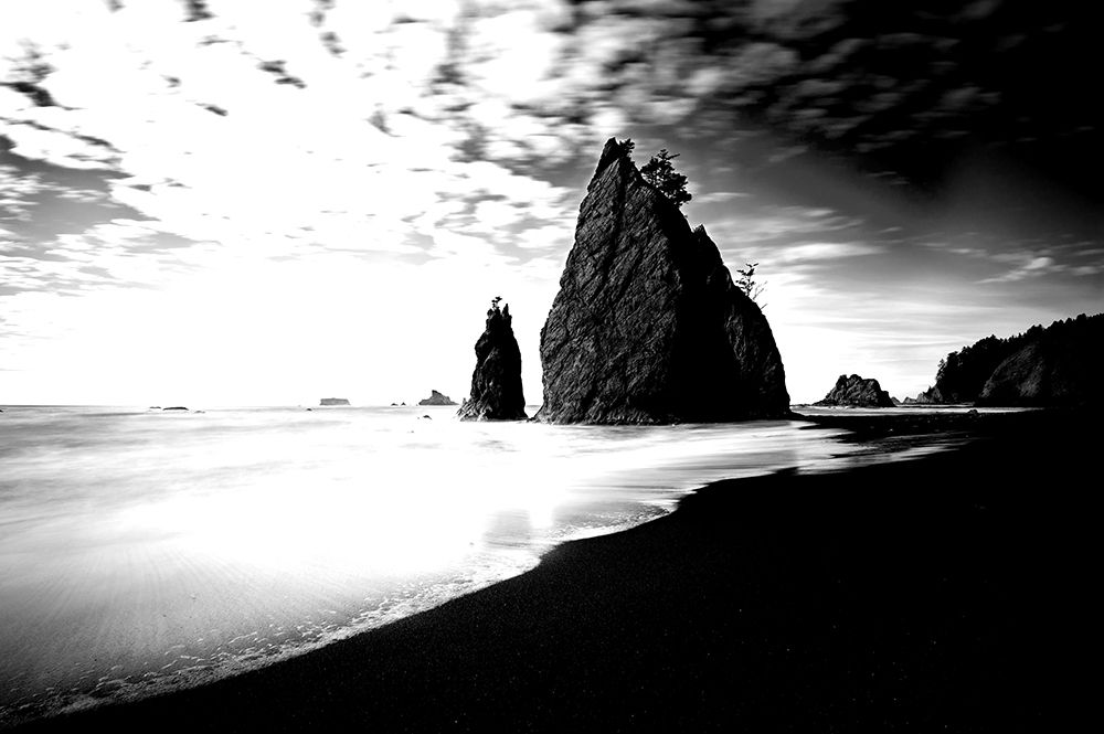 Wall Art Painting id:213544, Name: Beach Sentinels V1, Artist: Morgan, Keith