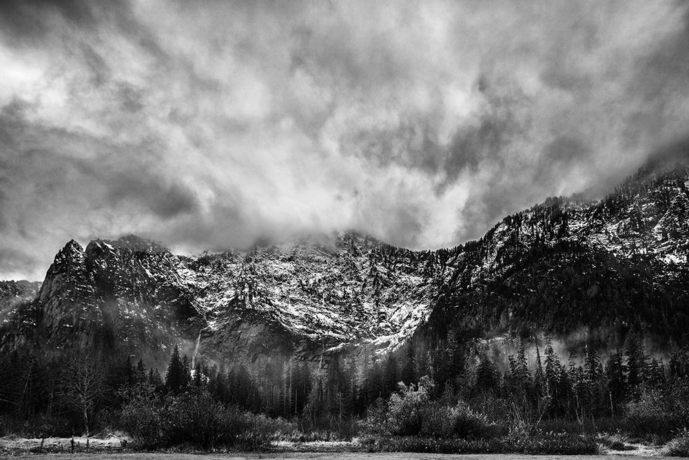 Wall Art Painting id:263024, Name: Majestic, Artist: Morgan, Keith