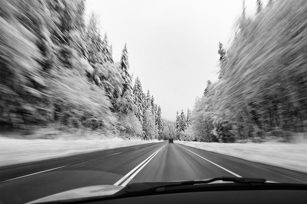 Wall Art Painting id:263025, Name: Winter Racing, Artist: Morgan, Keith