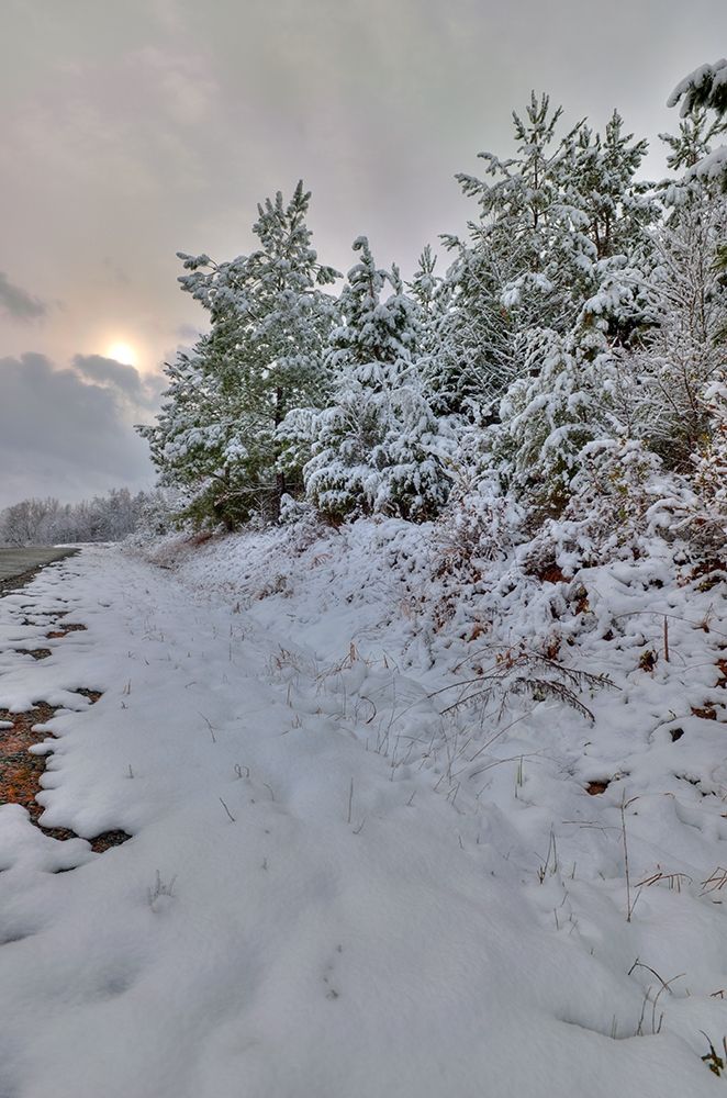 Wall Art Painting id:263032, Name: Muted Sunrise, Artist: Morgan, Keith