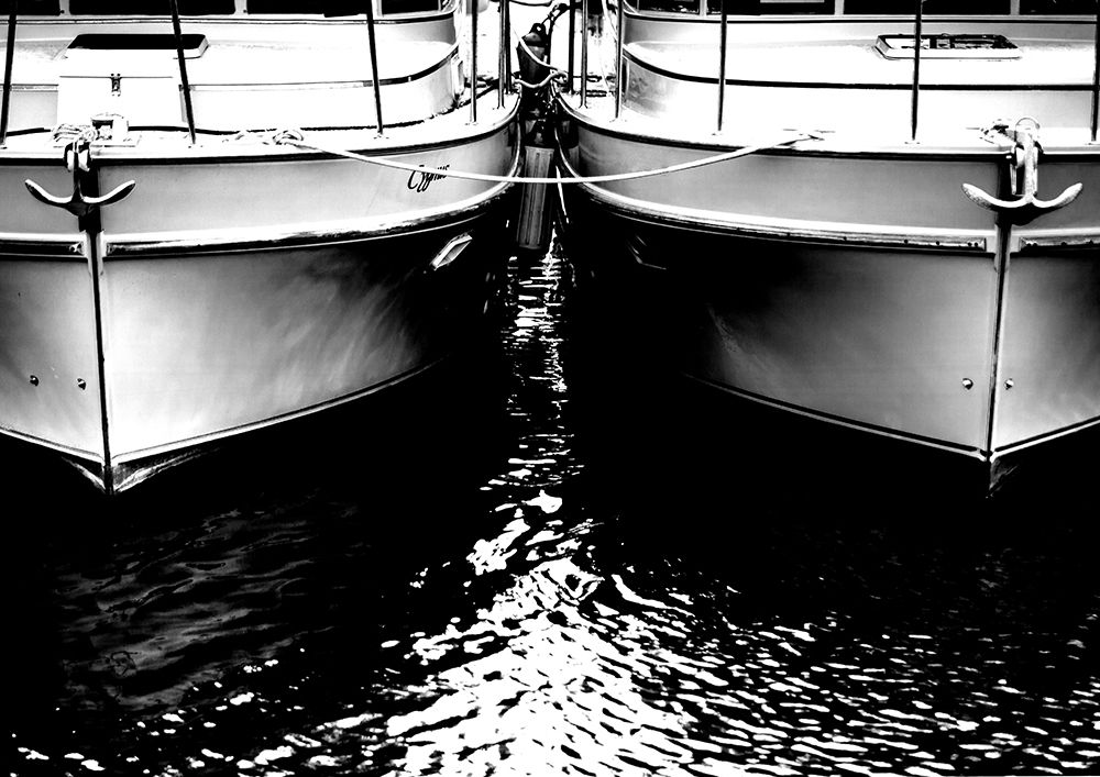 Wall Art Painting id:213563, Name: Tied Together V1, Artist: Matheson, Aaron