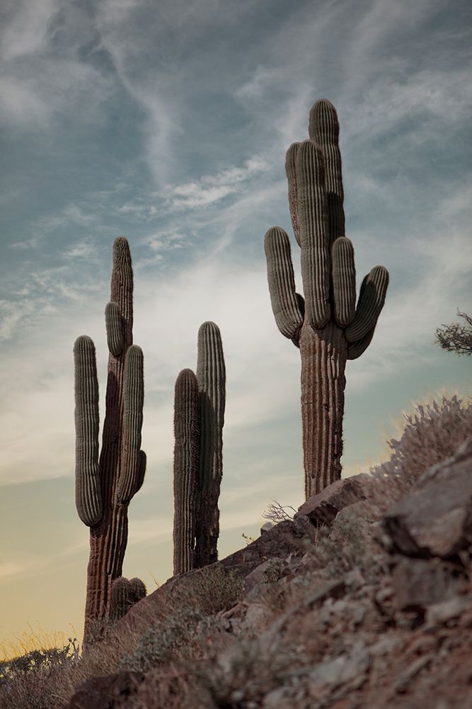 Similar wall art painting: 640108