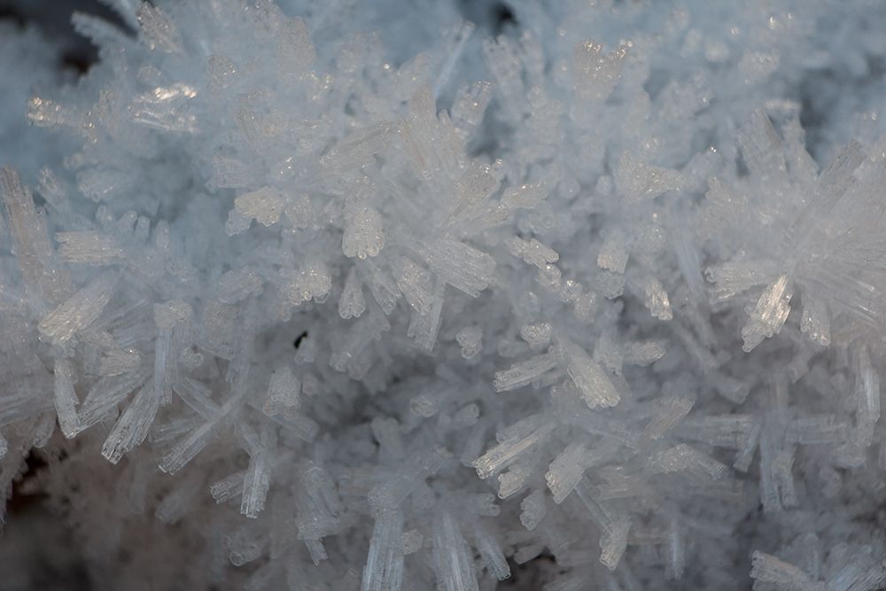 Wall Art Painting id:263036, Name: Ice Crystals I, Artist: Matheson, Aaron
