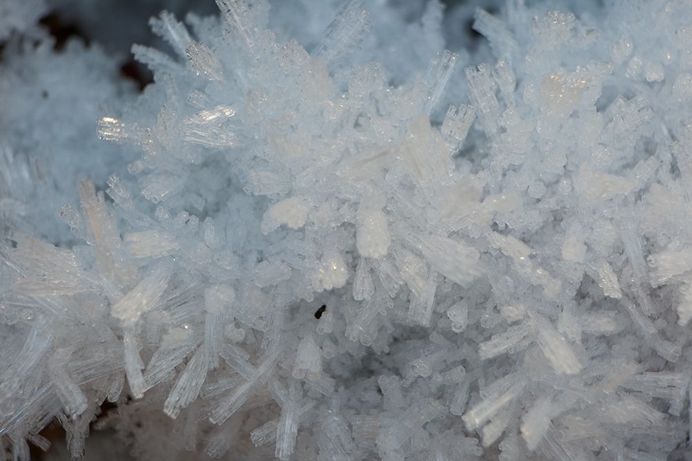 Wall art: Ice Crystals II, by Matheson, Aaron