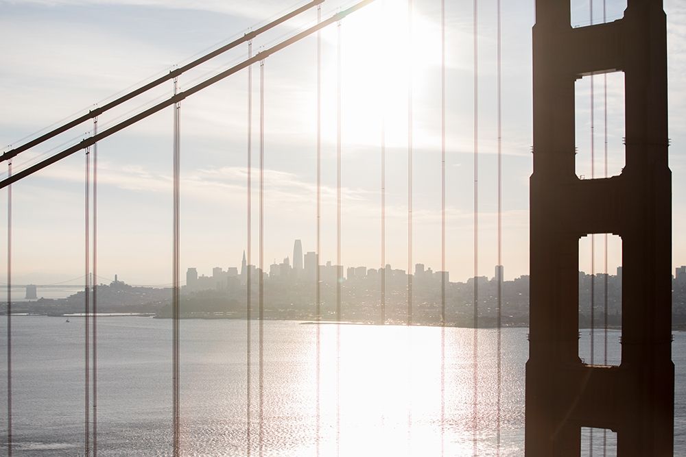 Wall Art Painting id:213581, Name: Golden Gate Vista, Artist: Matheson, Aaron