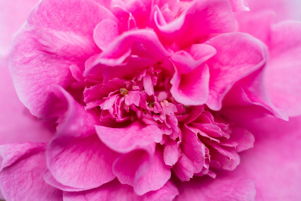 Similar wall art painting: 359782