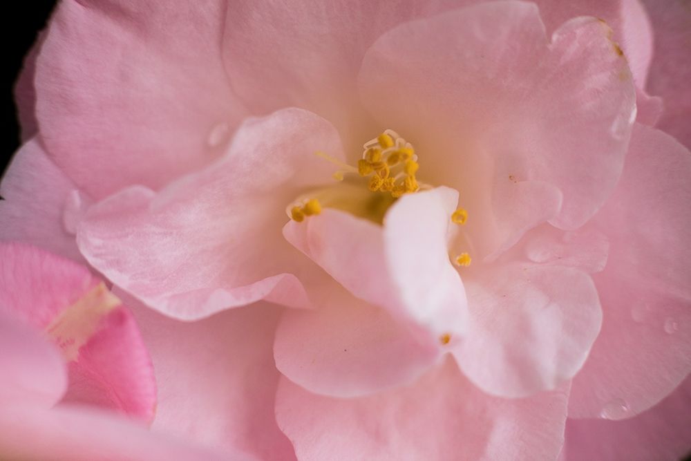 Similar wall art painting: 359783