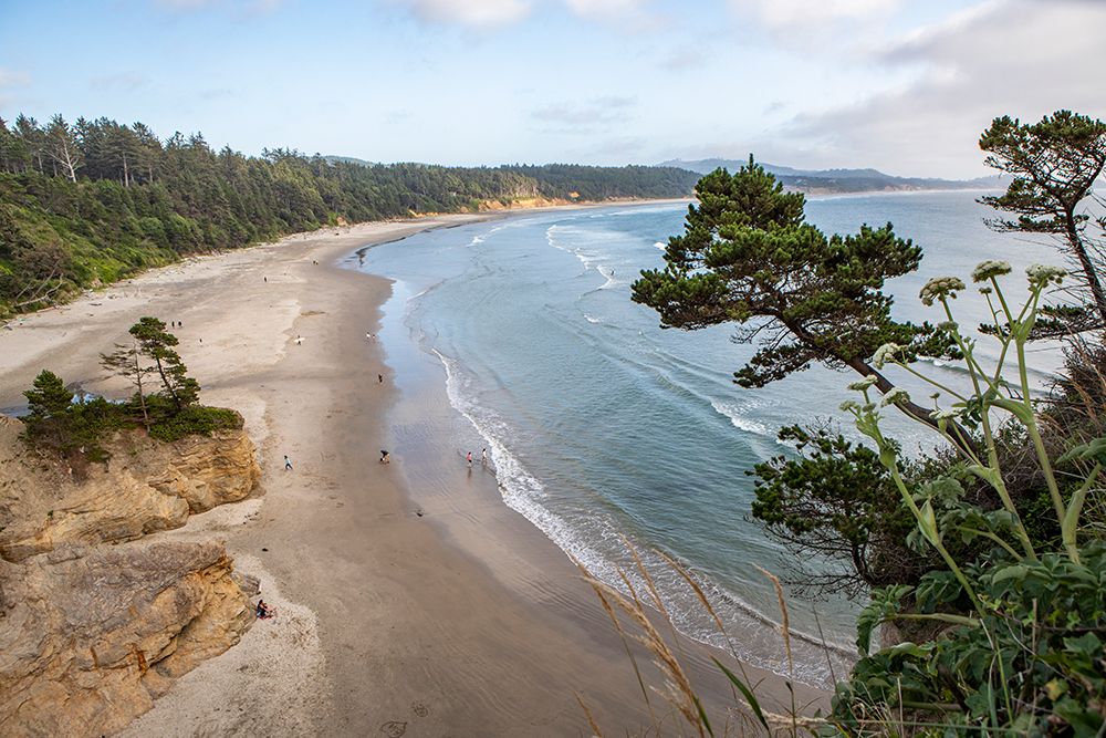 Wall Art Painting id:440384, Name: Come Again, Artist: Matheson, Aaron