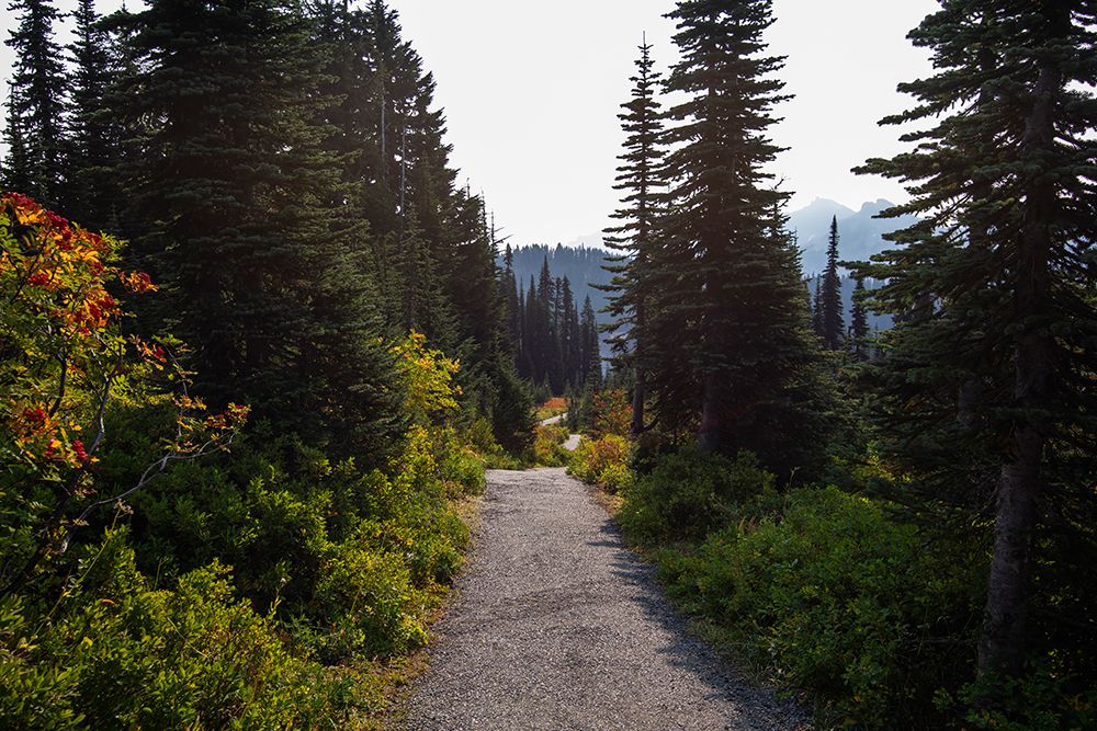 Wall Art Painting id:548390, Name: Endless Path, Artist: Matheson, Aaron