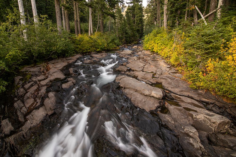 Wall Art Painting id:640110, Name: The Rush, Artist: Matheson, Aaron