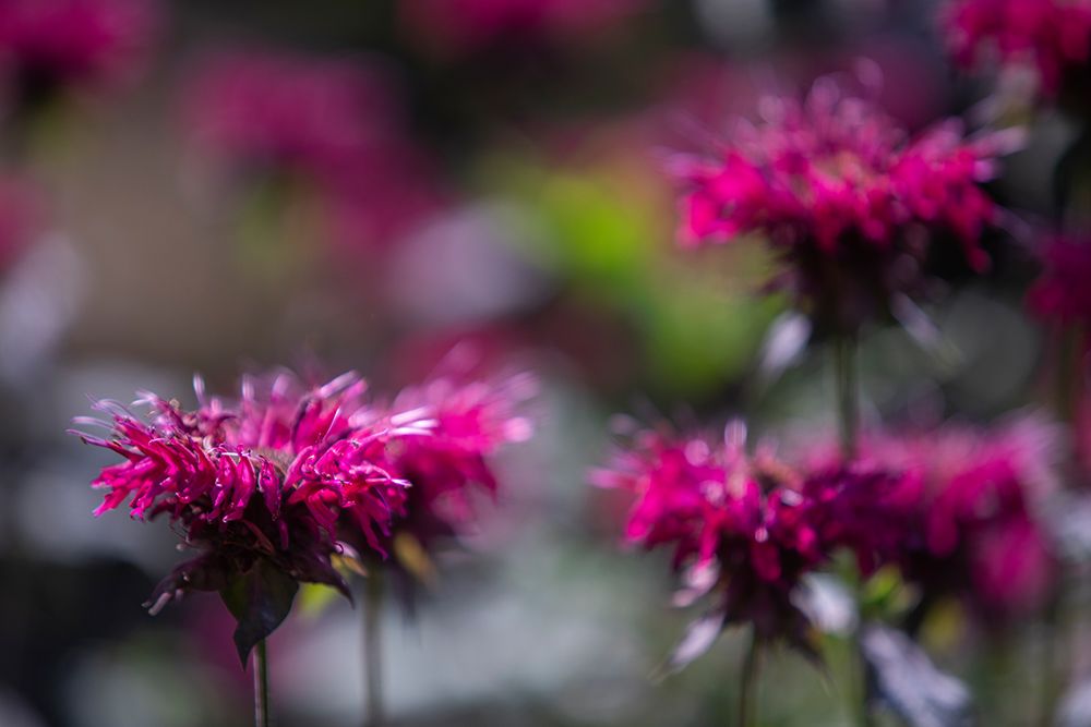 Similar wall art painting: 640112