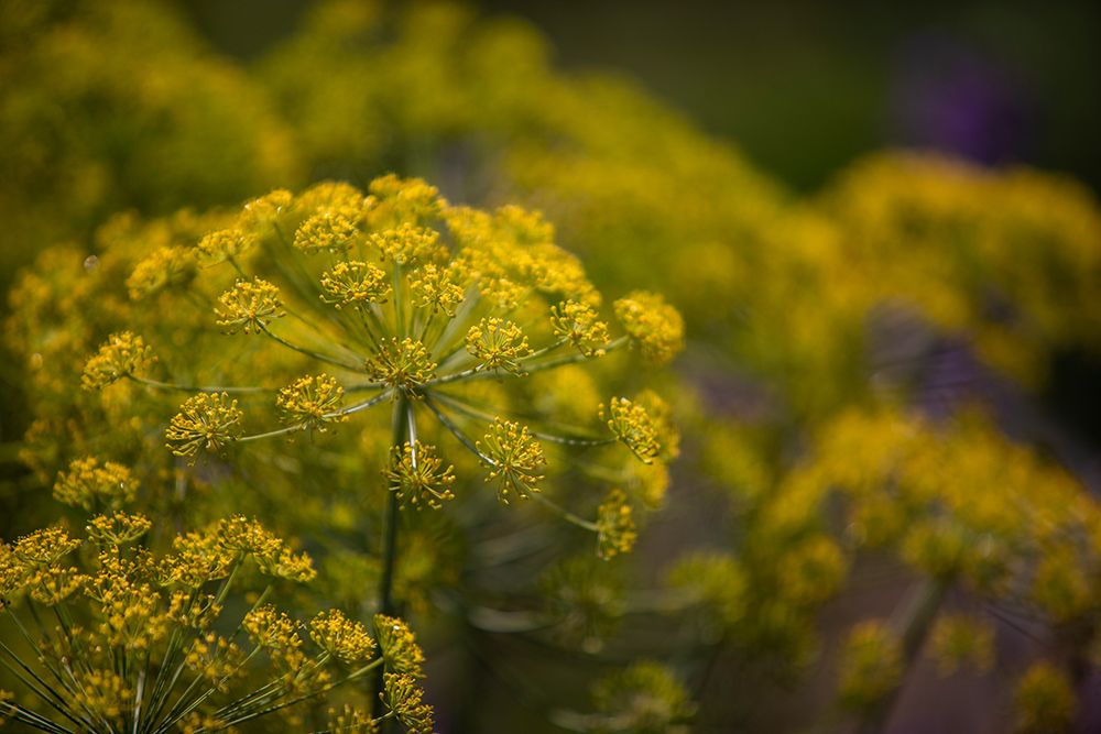 Similar wall art painting: 640113