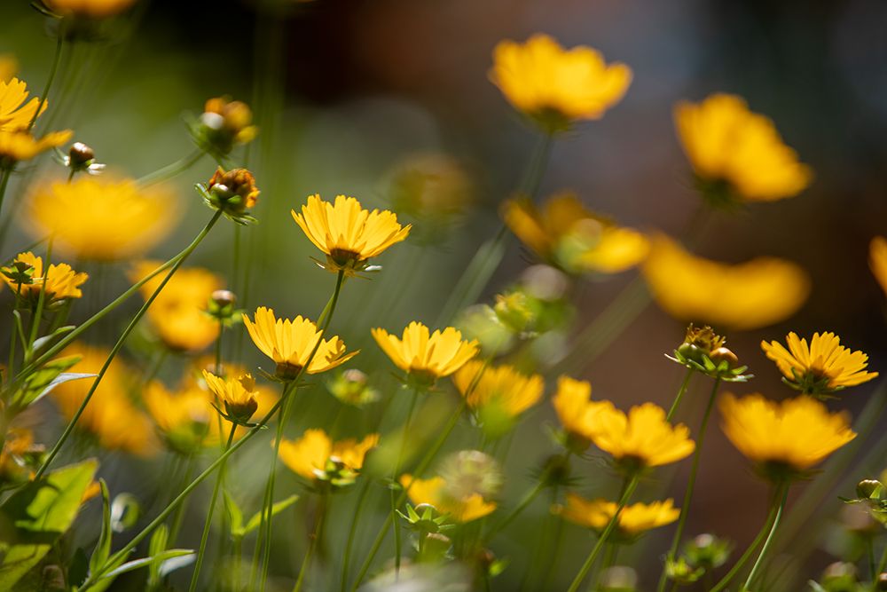 Similar wall art painting: 675138