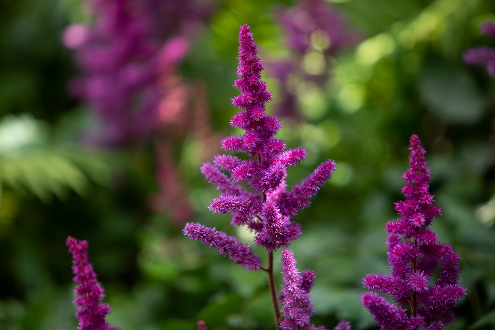 Similar wall art painting: 662677