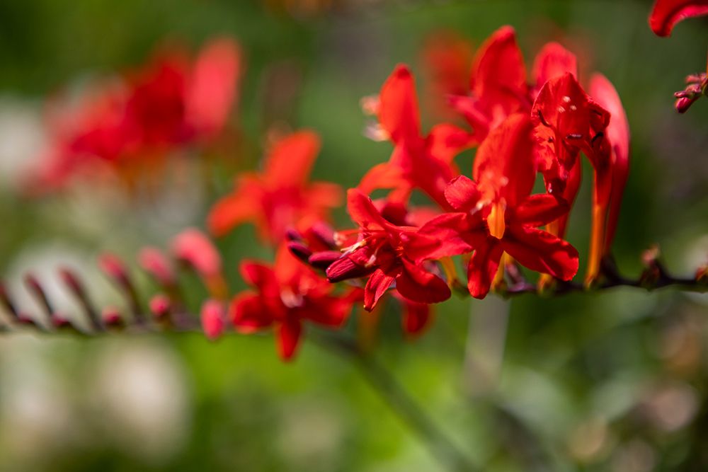 Similar wall art painting: 640118