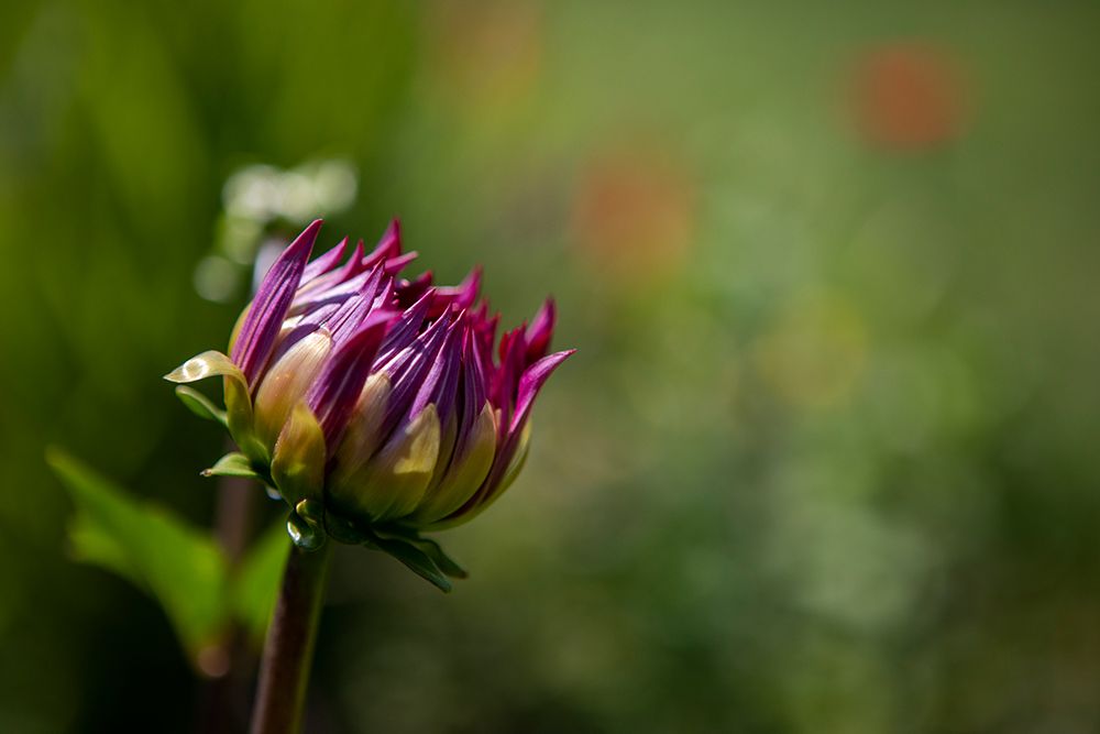 Similar wall art painting: 640119