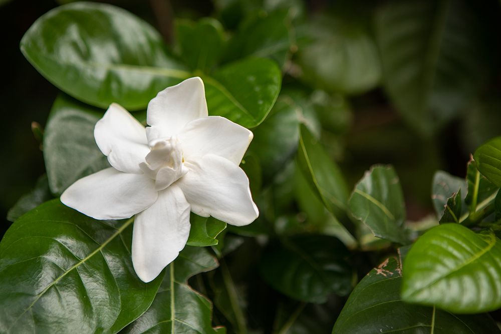 Similar wall art painting: 640124