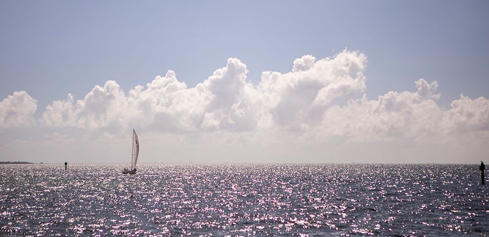 Wall Art Painting id:640130, Name: Windblown in the Clouds, Artist: Matheson, Aaron