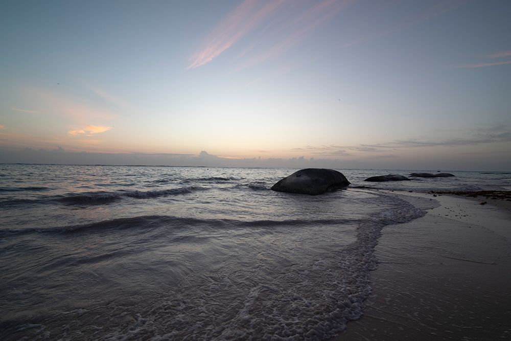 Wall Art Painting id:640140, Name: Beach Sentinel, Artist: Matheson, Aaron