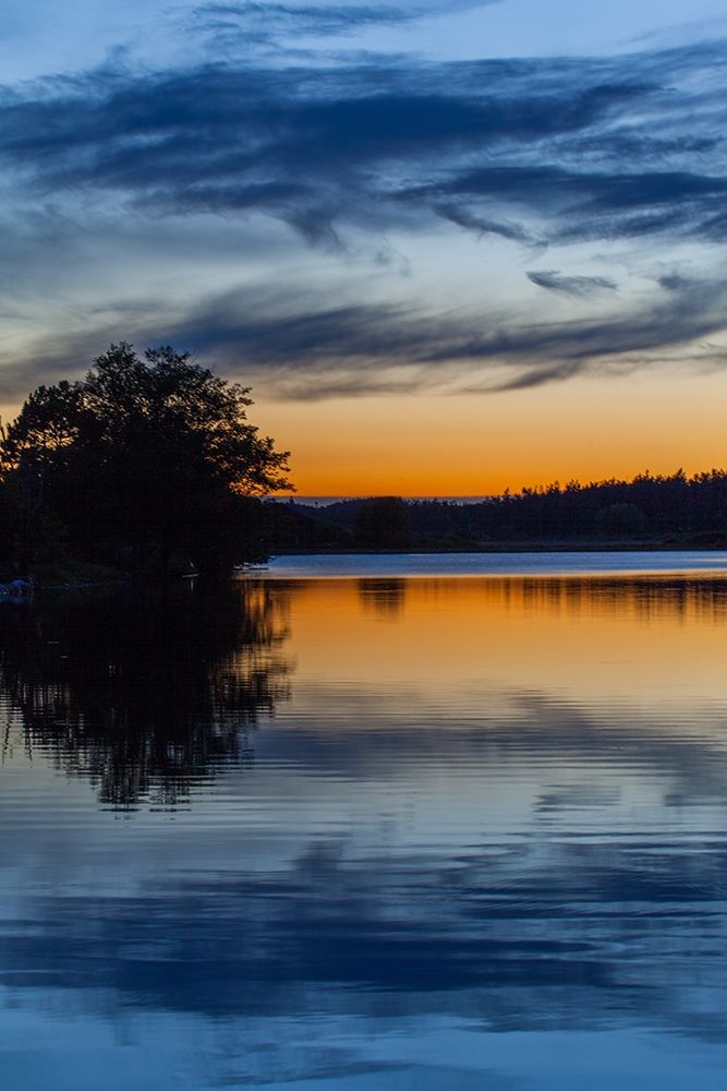 Art Print: Blue Swirls