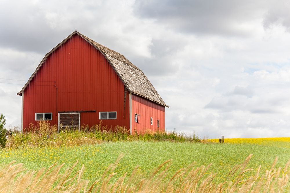 Art Print: The Red Barn