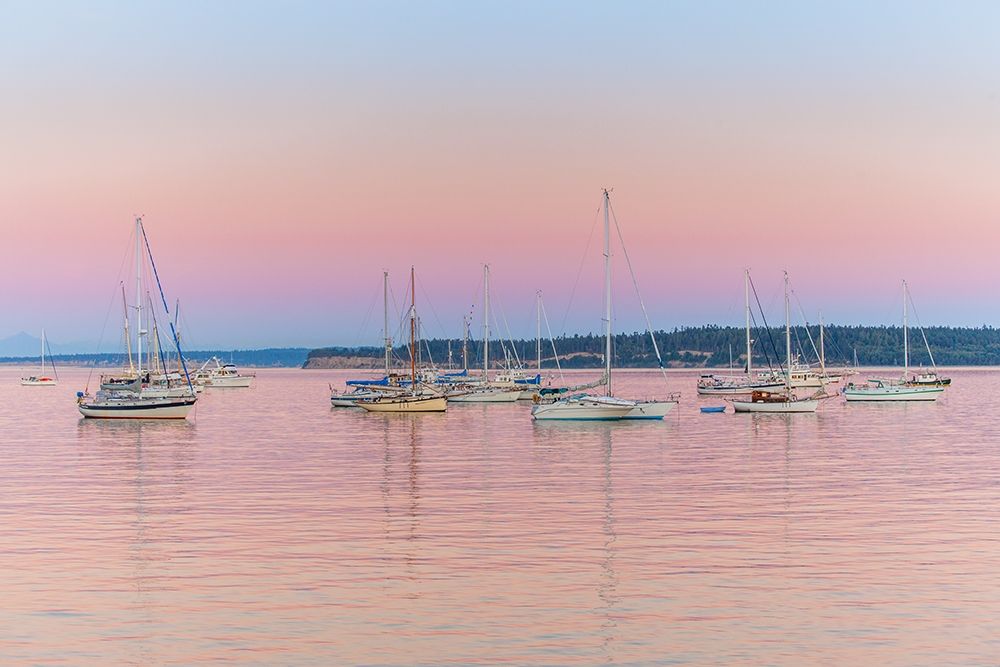 Art Print: Pink Anchorage