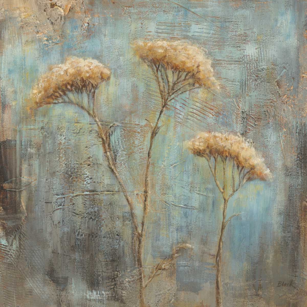 Wall Art Painting id:157917, Name: Morning Mist I, Artist: Black, Carol