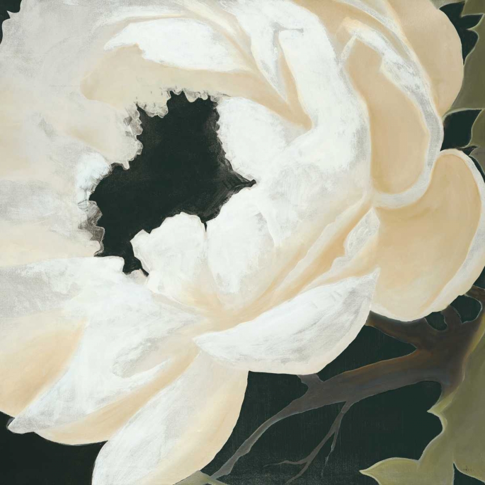 Wall Art Painting id:158007, Name: Floral Study, Artist: Haxton, KC