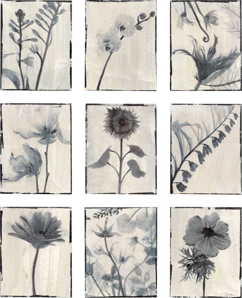 Art Print: Silk Botanicals