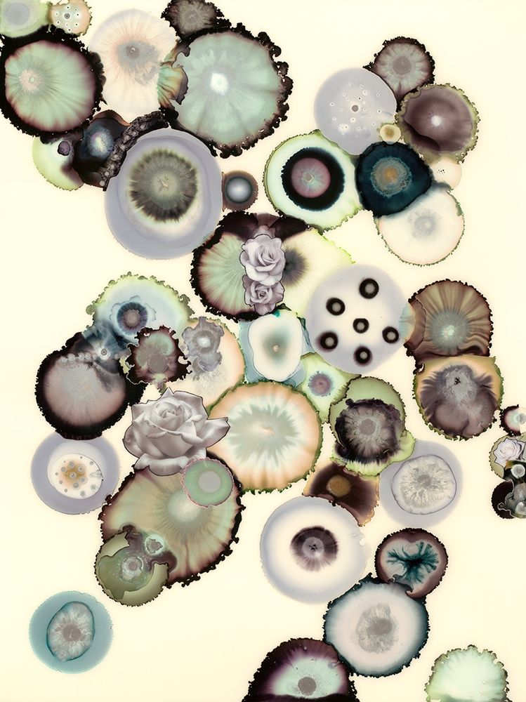 Wall Art Painting id:359852, Name: Colorblind, Artist: Van Horne, Laura