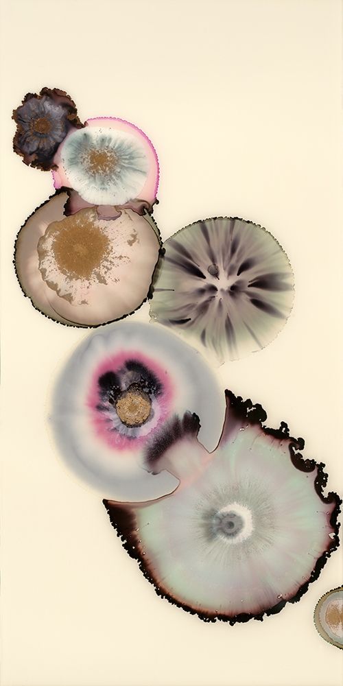 Wall Art Painting id:361171, Name: Magnolia III, Artist: Van Horne, Laura