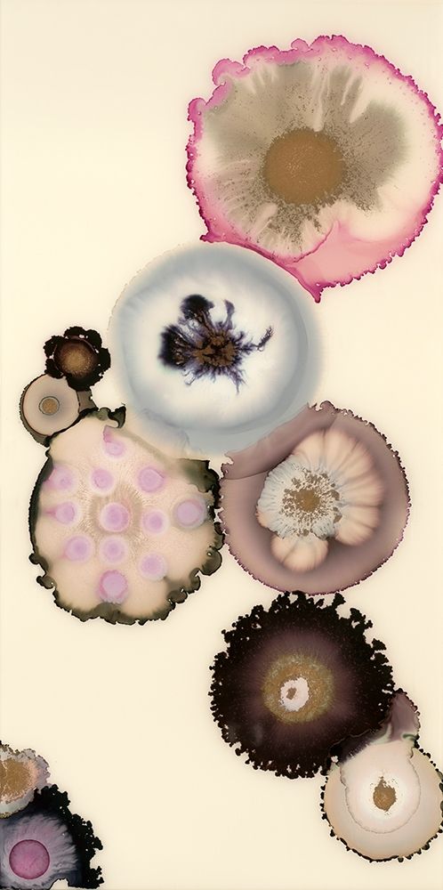 Wall Art Painting id:361172, Name: Magnolia IV, Artist: Van Horne, Laura