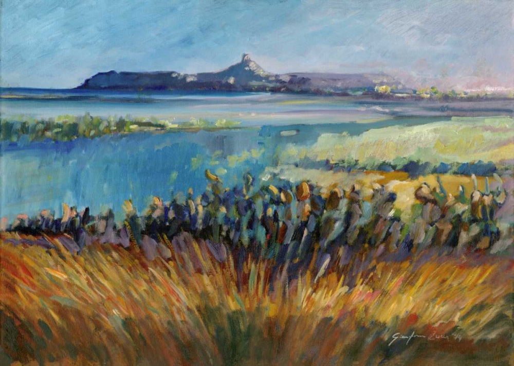 Wall Art Painting id:170387, Name: Sea and vegetation bond island sardinia, Artist: Zucca, Gianfranco