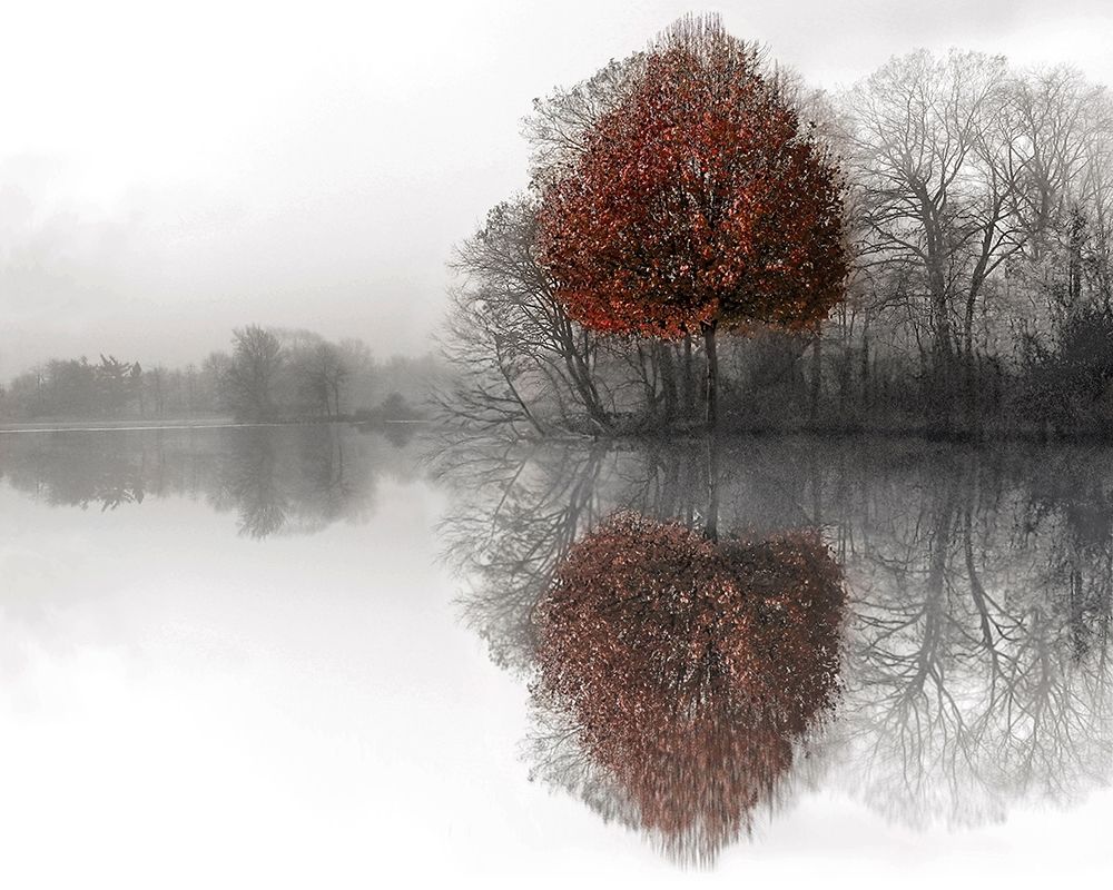 Art Print: Mirror Lake