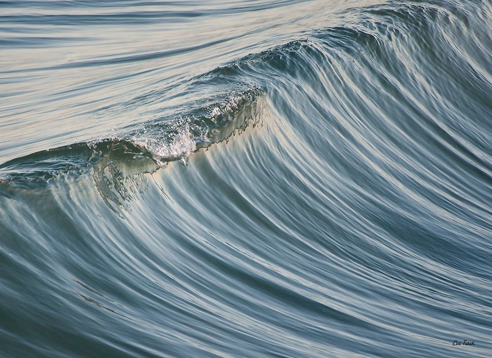 Art Print: Wave Essence