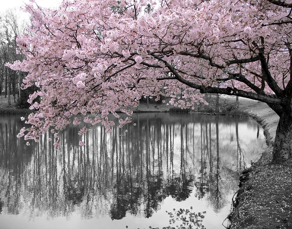 Wall Art Painting id:240360, Name: Violet Reflections II, Artist: Anonymous