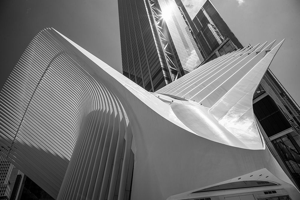 Art Print: Oculus I, World Trade Center, NYC