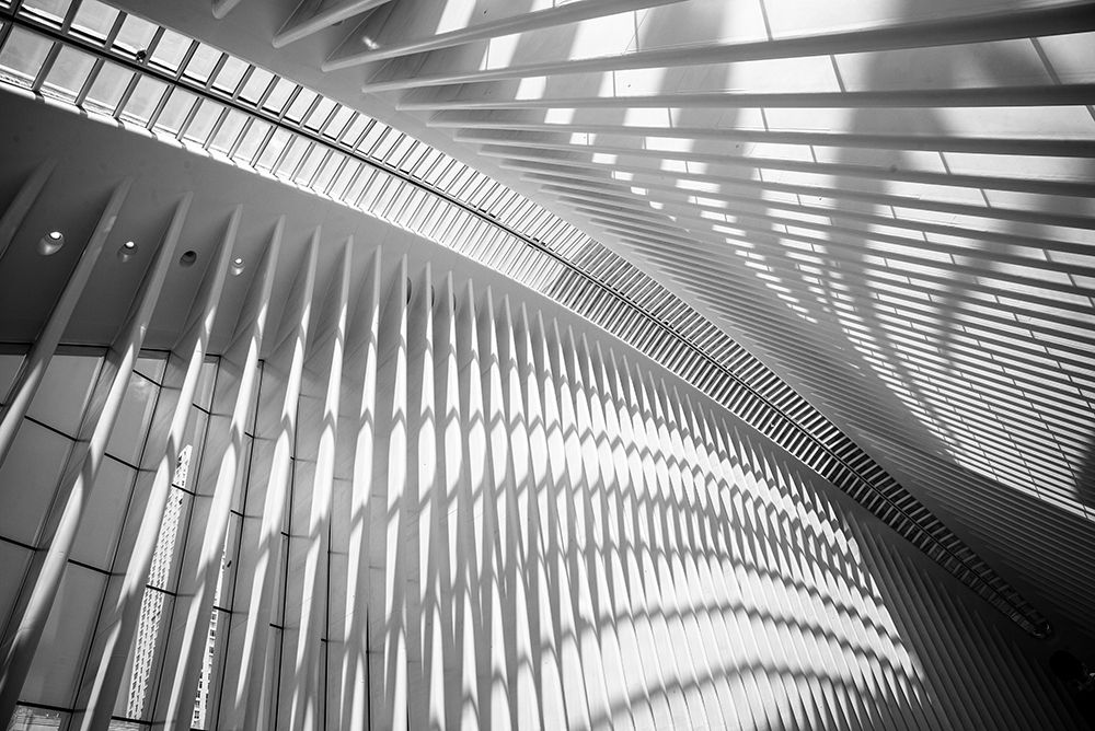 Art Print: Oculus Ceiling II, World Trade Center, NYC