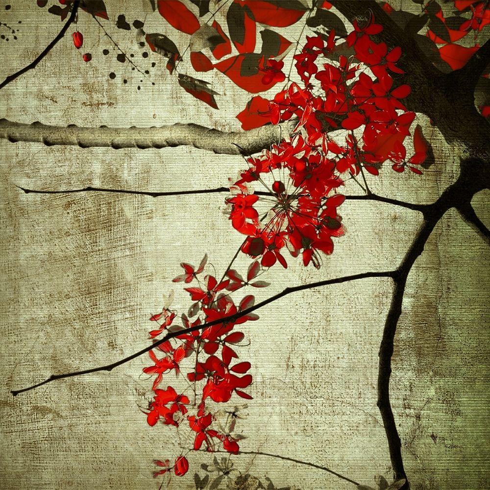 Art Print: Red Kerala Blossoms