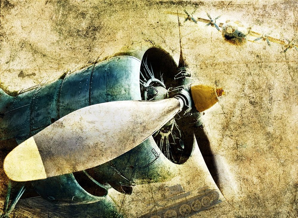 Wall art: Vintage Plane II, by Anonymous