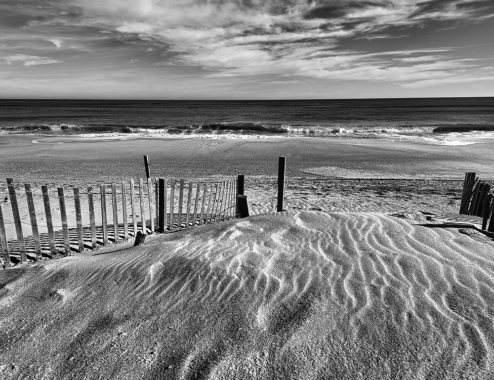 Wall Art Painting id:240392, Name: Pathway, Artist: Turek, Eve