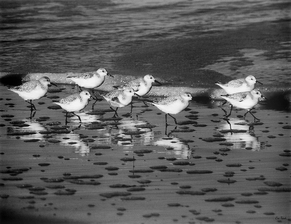 Wall Art Painting id:240393, Name: Family Reunion, Artist: Turek, Eve